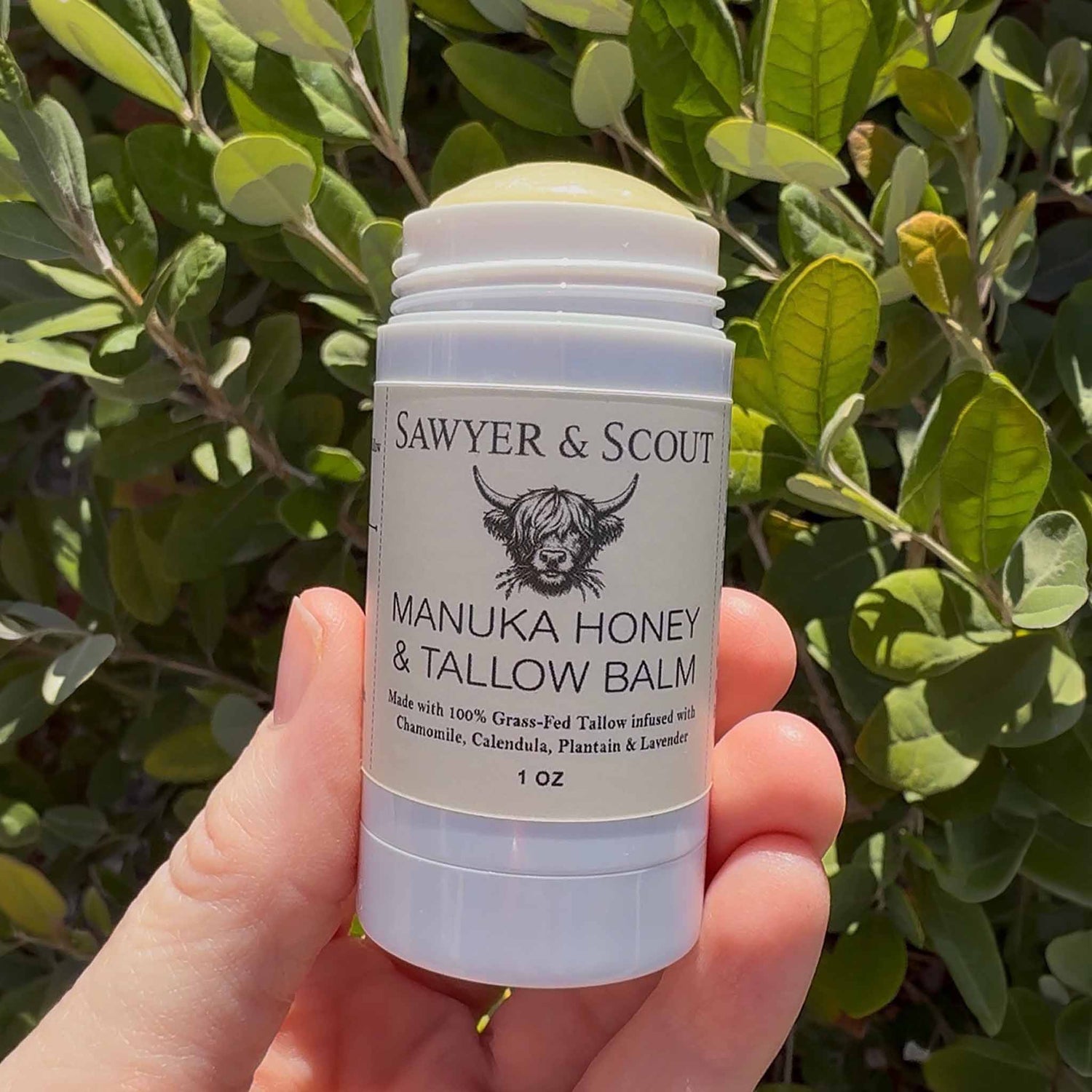 Manuka Honey & Tallow Balm